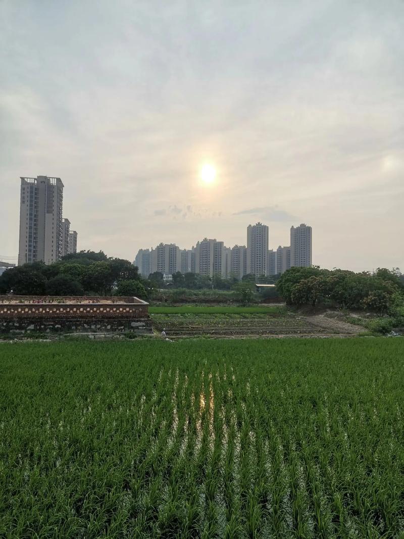 空置的商品房 珠海最大房地產開發商的出租之困